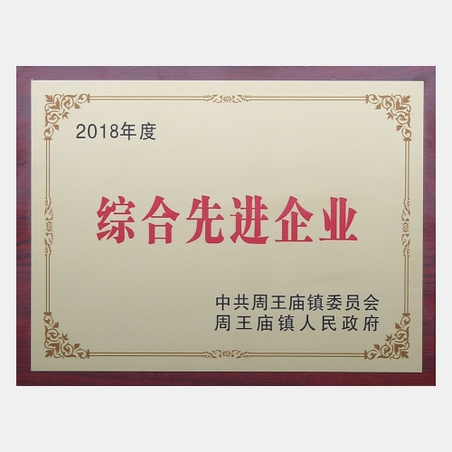 2018年度綜合先進企業(yè)